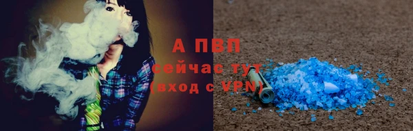 молекула духа Бородино