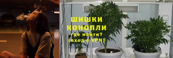 молекула духа Бородино