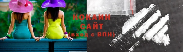 молекула духа Бородино