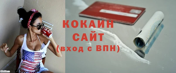 молекула духа Бородино