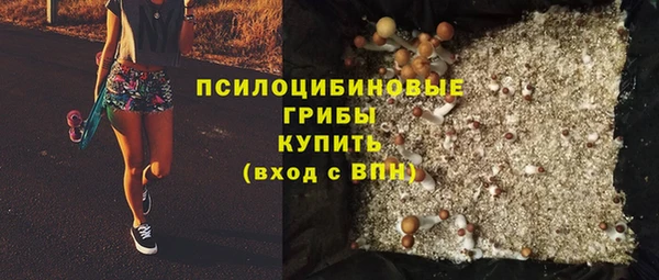 молекула духа Бородино