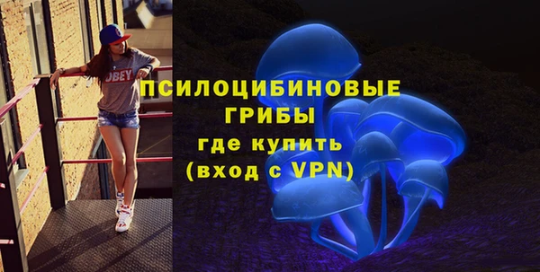 молекула духа Бородино