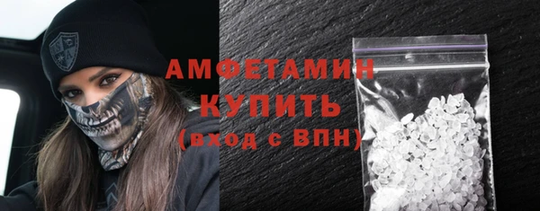 молекула духа Бородино
