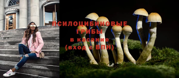 синтетический гашиш Бронницы