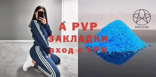 молекула духа Бородино