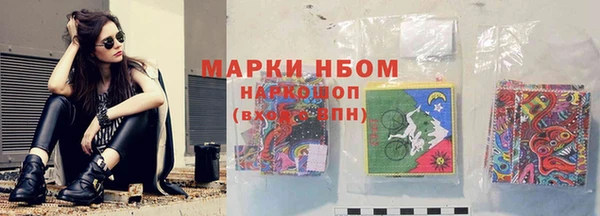 молекула духа Бородино